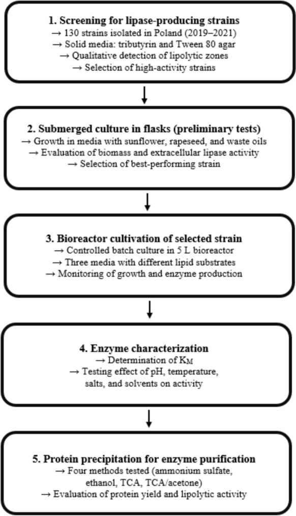 Lipolytic activity of carotenogenic yeast isolated from the polish ecosystem