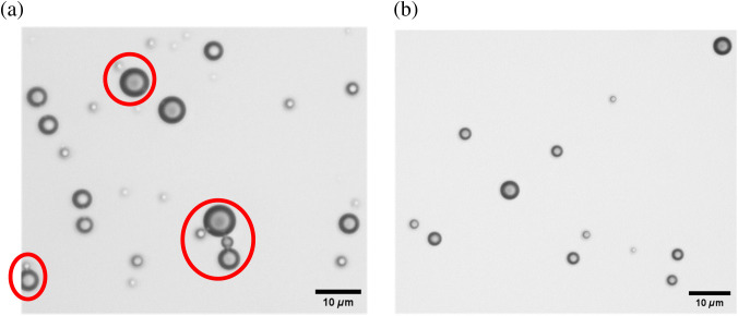 Harnessing chemically crosslinked microbubble clusters using deep learning for ultrasound contrast imaging.