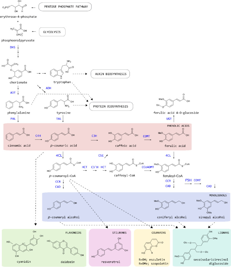 Nature's laboratory: plant metabolic engineering methods using phenylpropanoids as a case study