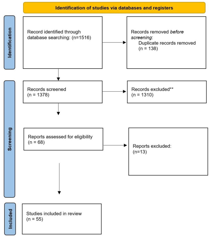 Shared neural signatures in Functional Neurological Disorder and Chronic Pain: a multimodal narrative review.