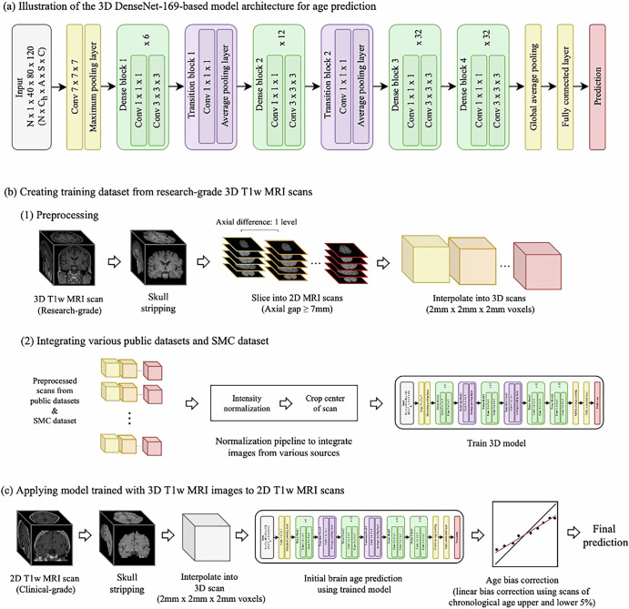 A novel deep learning-based brain age prediction framework for routine clinical MRI scans.
