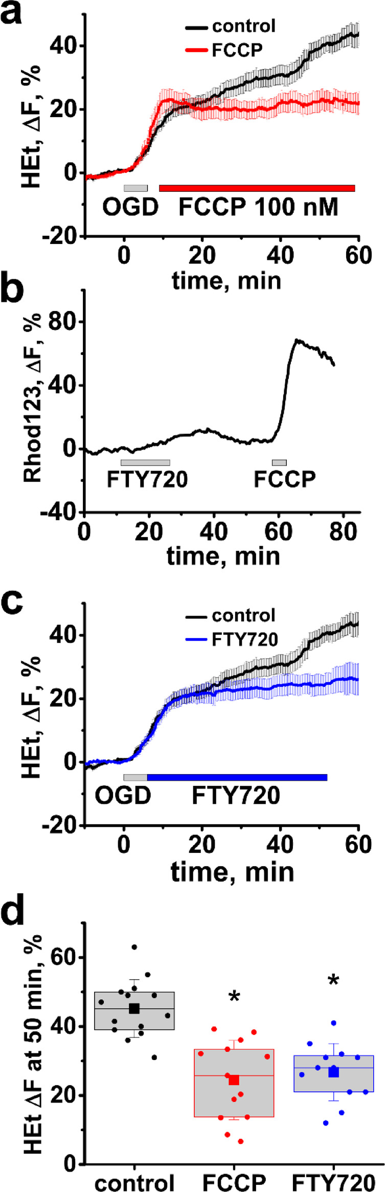 Mechanisms of delayed ischemia/reperfusion evoked ROS generation in the hippocampal CA1 zone of adult mouse brain slices.