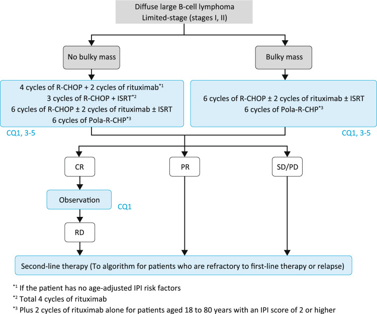 JSH practical guidelines for hematological malignancies, 2023: II. Lymphoma5. Diffuse large B-cell lymphoma, not otherwise specified (DLBCL, NOS).