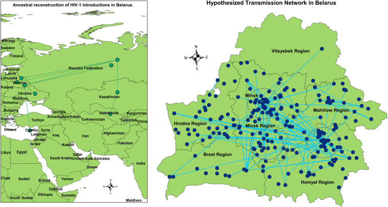 Phylodynamics analysis of HIV epidemic history in Belarus in 1987-2022.