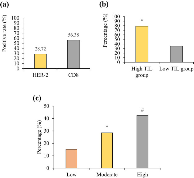 The expression of epidermal growth factor receptor 2 and its relationship with tumor-infiltrating lymphocytes and clinical pathological features in breast cancer patients.
