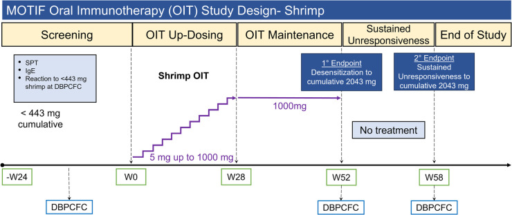 Shrimp oral immunotherapy outcomes in the phase 2 clinical trial: MOTIF.