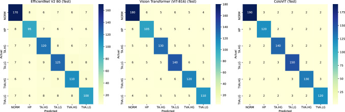 ColoViT: a synergistic integration of EfficientNet and vision transformers for advanced colon cancer detection.