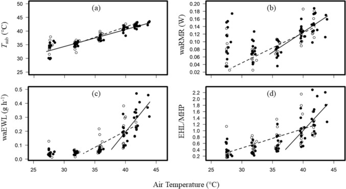 How to keep your cool: heat tolerance and thermoregulatory strategies of a cold adapted insectivorous bat.