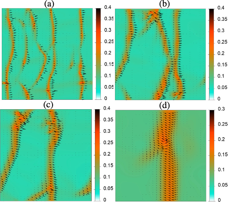 The effect of self-induced Marangoni flow on polar-nematic waves in active-matter systems