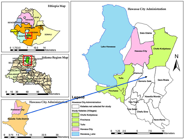 Knowledge, Attitudes, and Practices of Primary caregivers of Preschool children towards <i>Schistosoma mansoni</i> infection in Southern Ethiopia: A community-based cross-sectional study.