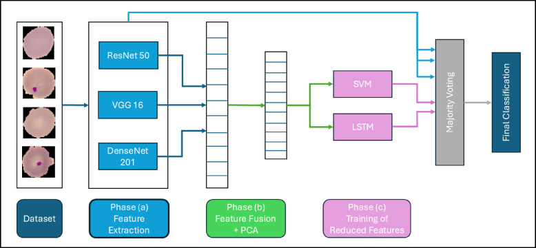 Automated multi-model framework for malaria detection using deep learning and feature fusion.