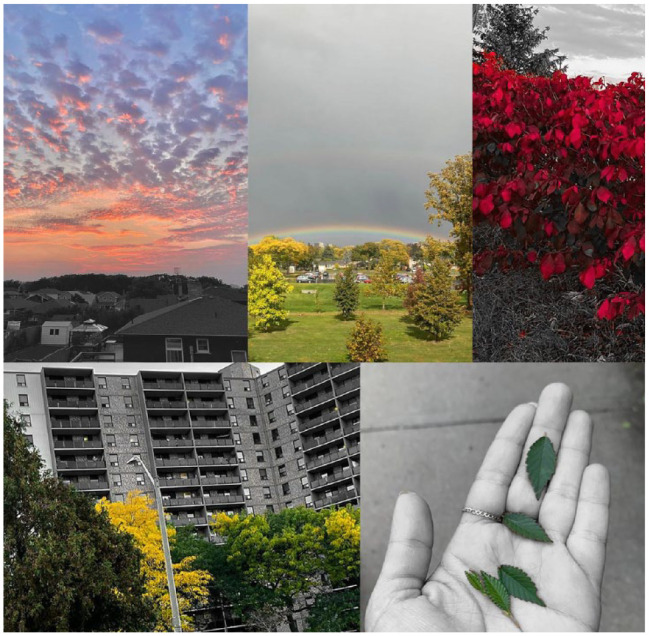 Understanding Newcomer Challenges and Opportunities to Accessing Nature and Greenspace in Riverdale, Hamilton, Ontario: A Neighborhood-Centered Photovoice Study.
