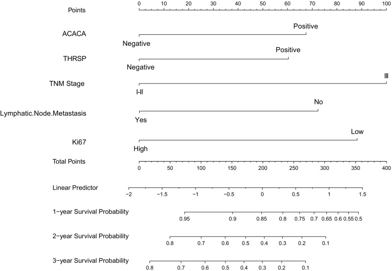 Construction of a Nomogram Model for Predicting Prognosis in Breast Cancer Patients Based on the Expression of THRSP and ACACA Proteins Tissues.