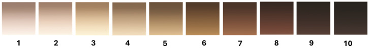 MST-AI: Skin Color Estimation in Skin Cancer Datasets.