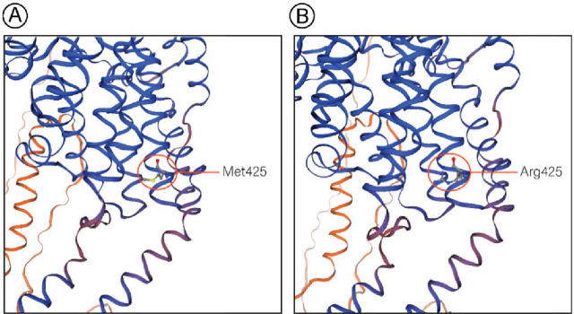 Oculocutaneous albinism in a patient with an <i>OCA2</i> variant: molecular and clinical insights.