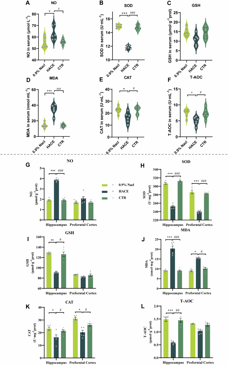 Exosomes from high-altitude cerebral edema patients induce cognitive dysfunction by altering oxidative stress responses in mice.