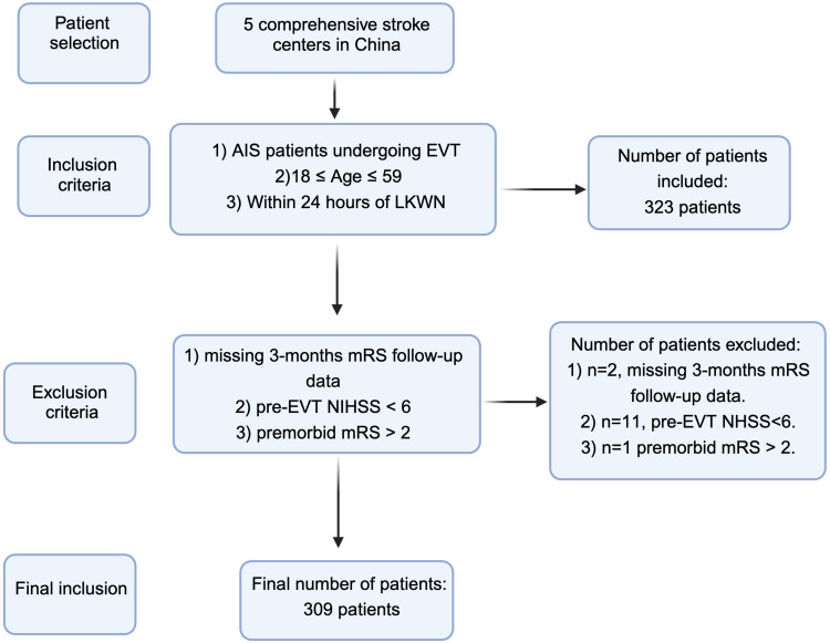 Endovascular Treatment in Stroke Patients of Working Age: A Multicenter Observational Study of Real-World Outcomes.