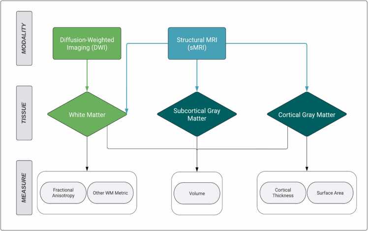 Neighborhood conditions and neurodevelopment: A systematic review of brain structure in children and adolescents.
