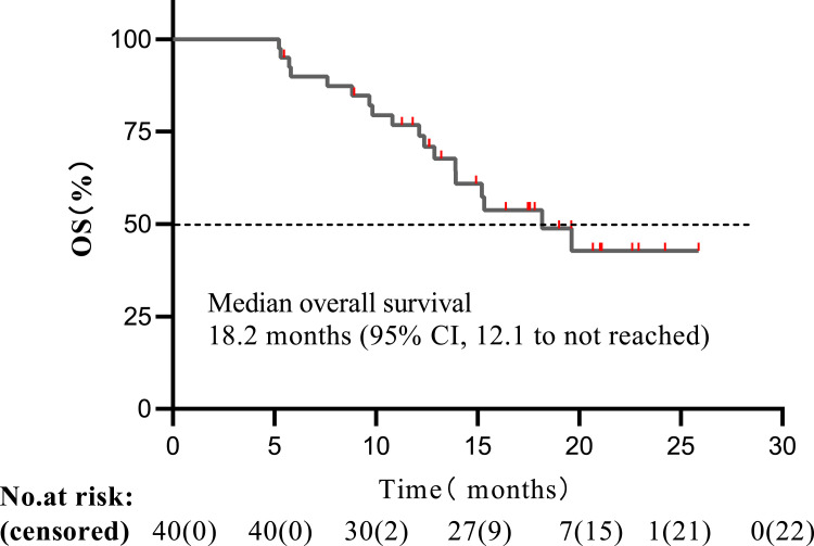 Adverse Event Management in Patients with Platinum-Resistant Ovarian Cancer Treated with Niraparib and Anlotinib: Updates from the Phase II, Multi-Center ANNIE Study.