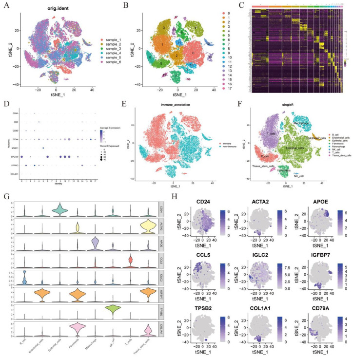 Single-Cell Sequence and Machine Learning Identify a CD79A+B Cells-Related Transcriptional Signature for Predicting Clinical Outcomes and Immune Microenvironment in Breast Cancer.