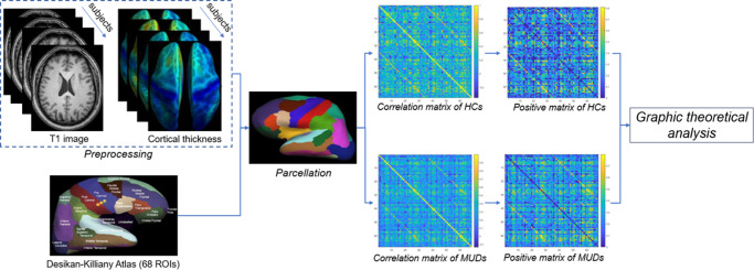 Altered morphological cortical thickness and disrupted network attributes and its relationships with drug use characteristics and impulsivity in abstinent male subjects with methamphetamine use disorder.