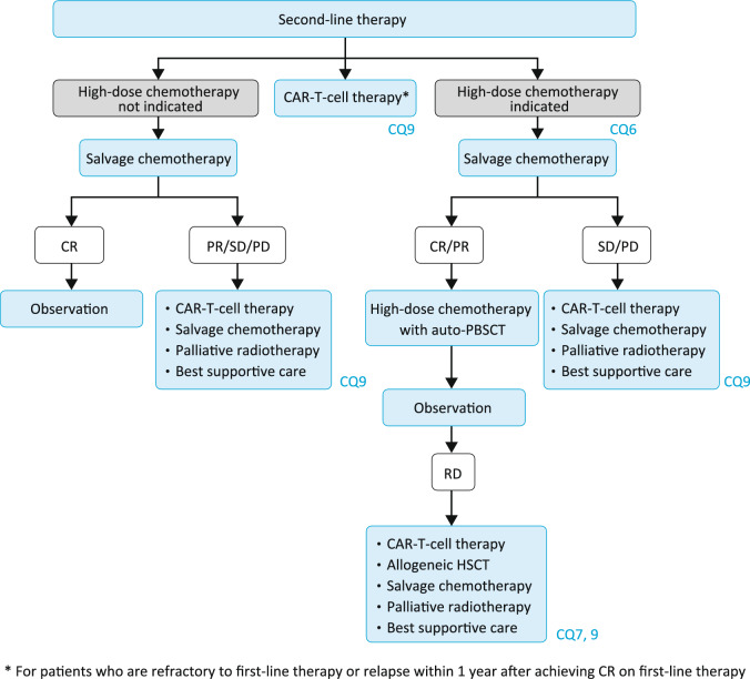 JSH practical guidelines for hematological malignancies, 2023: II. Lymphoma5. Diffuse large B-cell lymphoma, not otherwise specified (DLBCL, NOS).