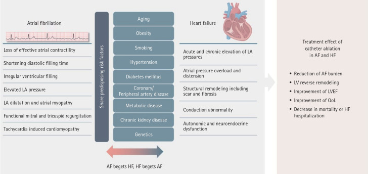 Role of catheter ablation in patients with heart failure and atrial fibrillation.