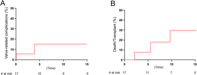 Mechanical valve replacement in adults with Fontan physiology is an effective palliation in selected patients.
