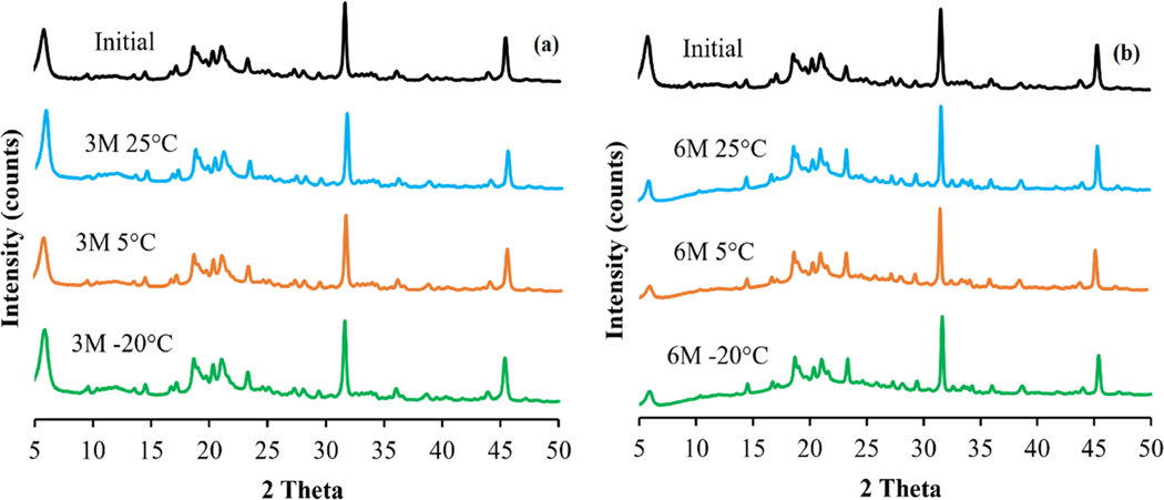 Storage and in-use stability of an excipient enhanced growth (EEG) synthetic lung surfactant powder formulation.