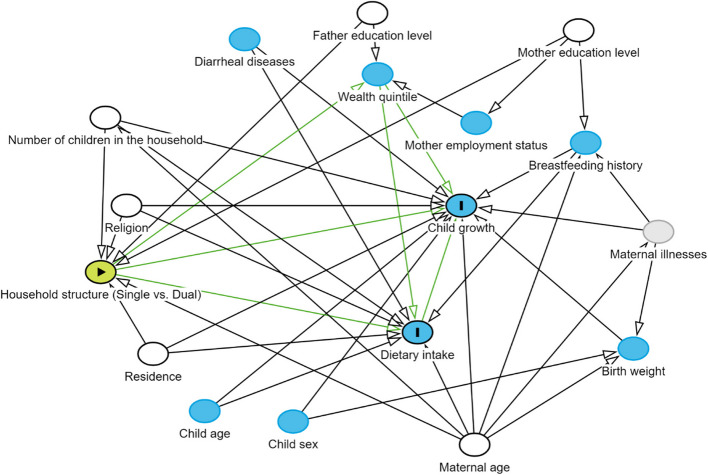 Effect of single-parent versus dual-parent households on dietary intake and growth among under-five children in Rwanda: an analysis using directed acyclic graph.