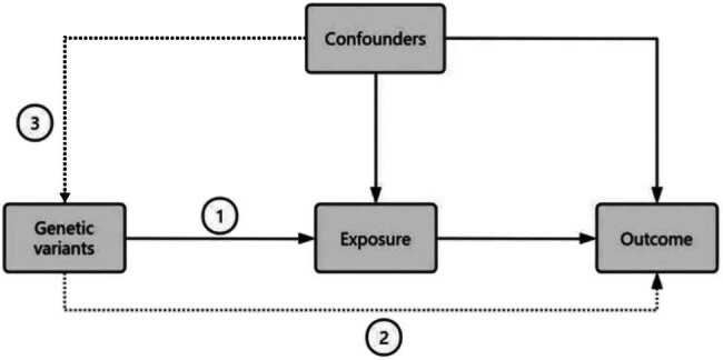 Causal relationship between asthma and ankylosing spondylitis: A bidirectional two-sample univariable and multivariable Mendelian randomization study.