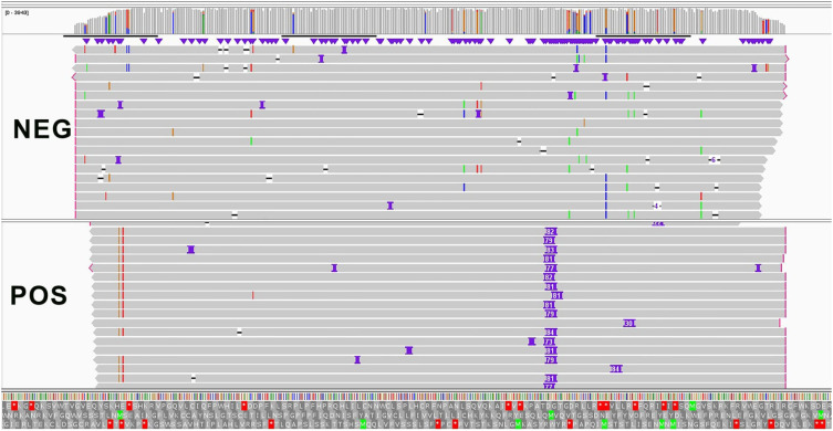 Multiclonal Profiling of FLT3-ITD in AML Using MinION Sequencing: A Tailored Clustering Approach to Enhance Subclonal Detection.