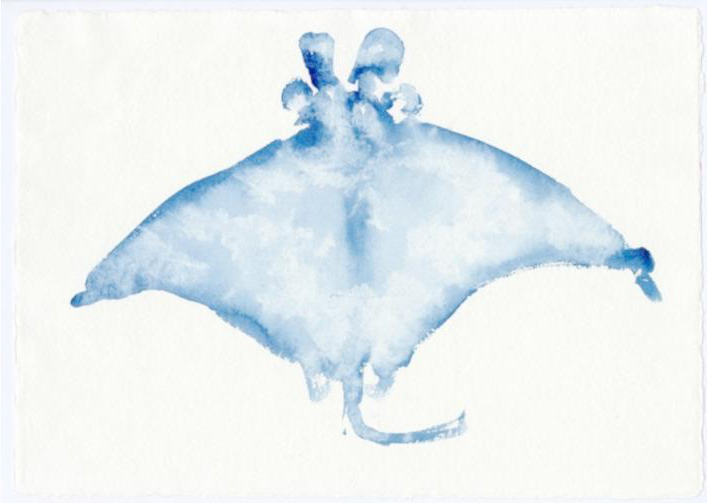 Artistic Value as a New Paradigm to Promote Ocean Conservation.