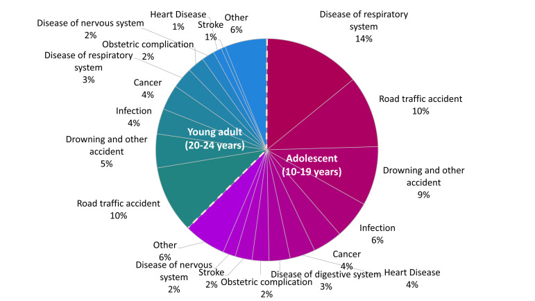Adolescent and young adult mortality in Bangladesh: findings from household surveys.