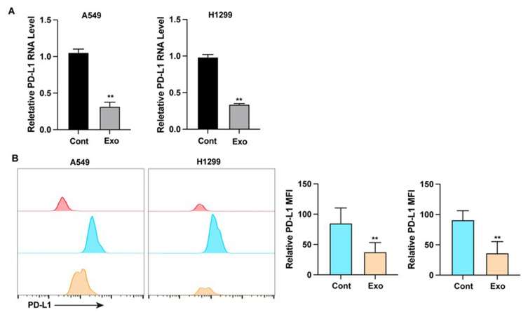 Ginseng-Derived Exosomes Attenuate Immune Evasion in NSCLC via PD-L1 Modulation.
