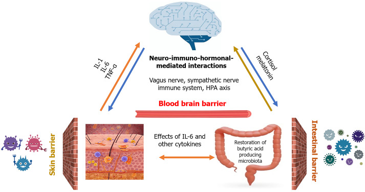 Gut-skin-brain axis in people suffering from sepsis with acute skin failure.