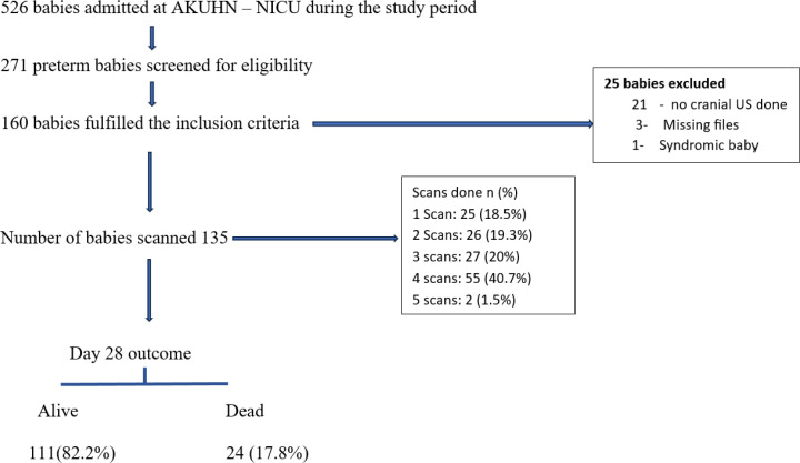 Incidence of intraventricular haemorrhage, associated risk factors and short-term outcomes among preterm neonates in a tertiary referral hospital in Kenya.