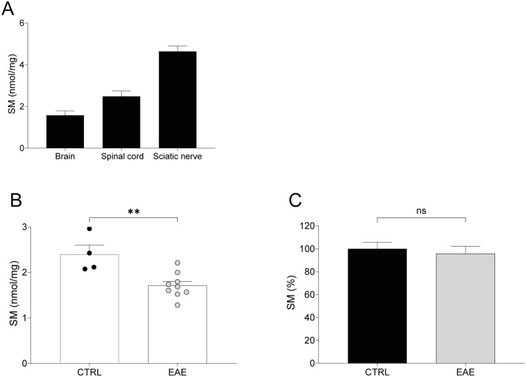 A Comprehensive Description of the Roadmap to Identify and Validate a Myelin Biomarker.