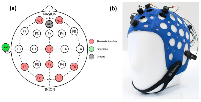 Visual Neuroplasticity: Modulating Cortical Excitability with Flickering Light Stimulation.