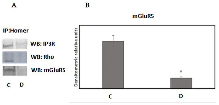 Sleep Deprivation in Rats Causes Dissociation of the Synaptic NMDA Receptor/D1 Dopamine Receptor Heterocomplex.