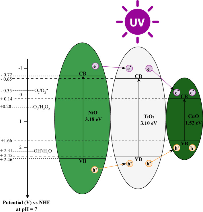 Engineered NiO/TiO<sub>2</sub> and CuO/NiO/TiO<sub>2</sub> heterojunctions for sustainable direct photocatalytic epoxidation of propylene using molecular oxygen.