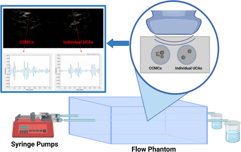Harnessing chemically crosslinked microbubble clusters using deep learning for ultrasound contrast imaging.