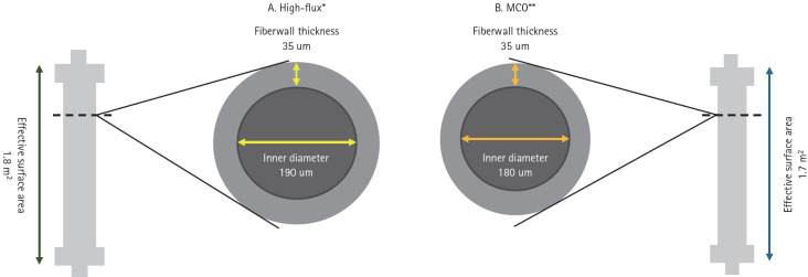 Clinical benefits and future directions of medium cut-off membranes in hemodialysis: a comprehensive review.
