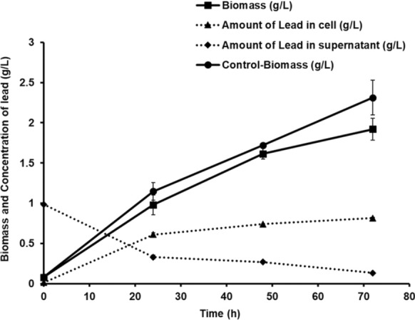 Dual-function strategy: simultaneous biopolymer production and lead biosorption by Bacillus paramycoides in single-batch fermentation process