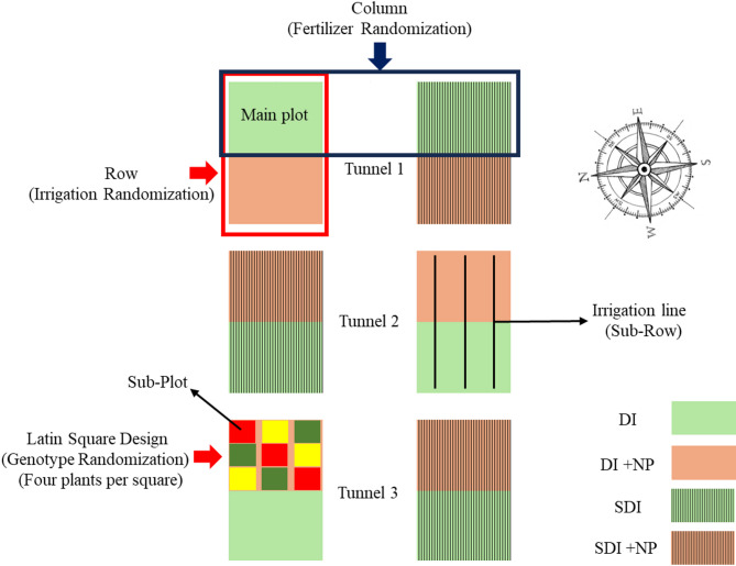 Subsurface drip irrigation reduces weed infestation and irrigation water use while increasing inflorescence and cannabinoid yield in an outdoor tunnel Cannabis sativa L. production system.