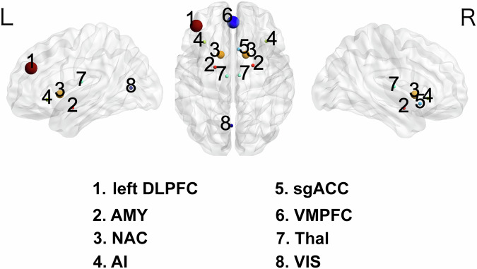 Exploring the capabilities of repetitive transcranial magnetic stimulation in major depressive disorder: Dynamic causal modeling of the neural network.