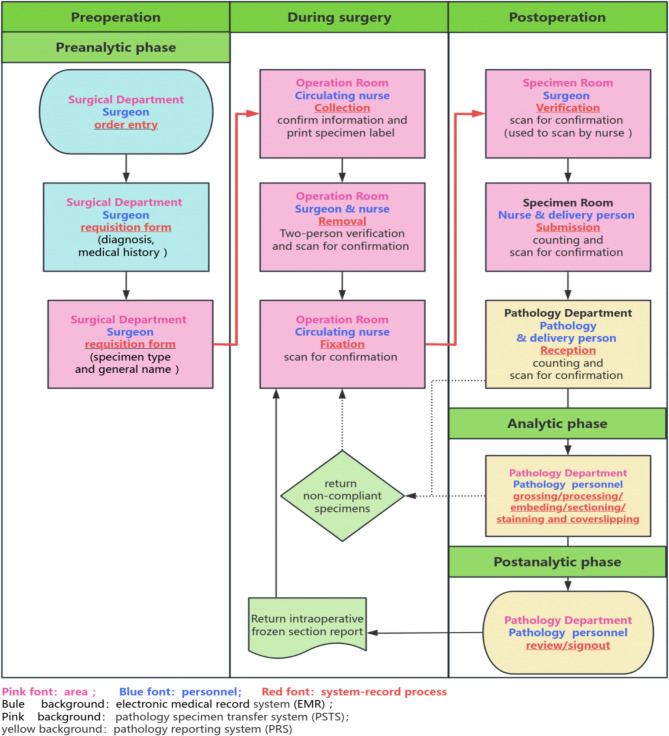 Enhancing preanalytic surgical specimen management: experience of a system implementation initiative.