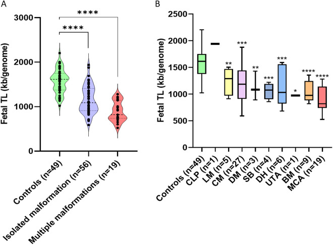 Association between shortened maternal and fetal telomere length and abnormal fetal development.