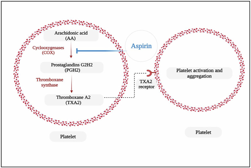A narrative review of research advancements in pharmacogenetics of cardiovascular disease and impact on clinical implications.