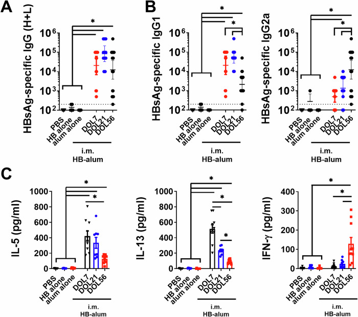 Rational adjuvant selection for the neonatal period shapes unique and lasting immune polarization in mice.